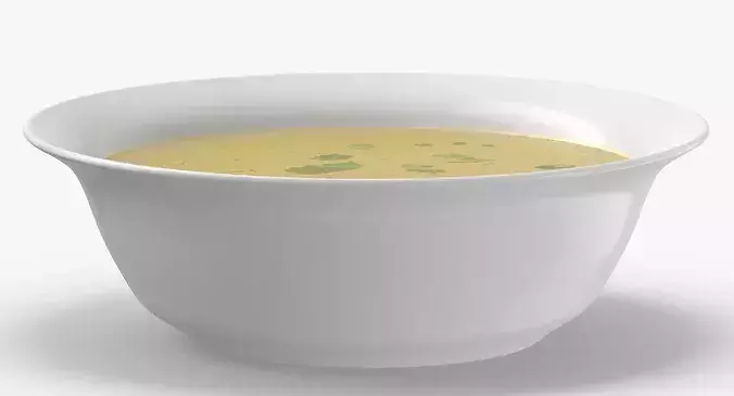 Chicken Soup 3D model 6