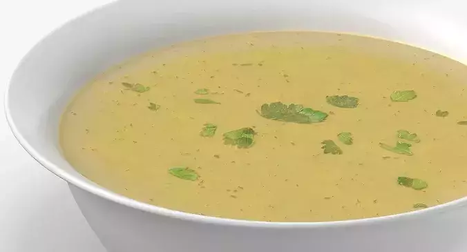 Chicken Soup 3D model 7