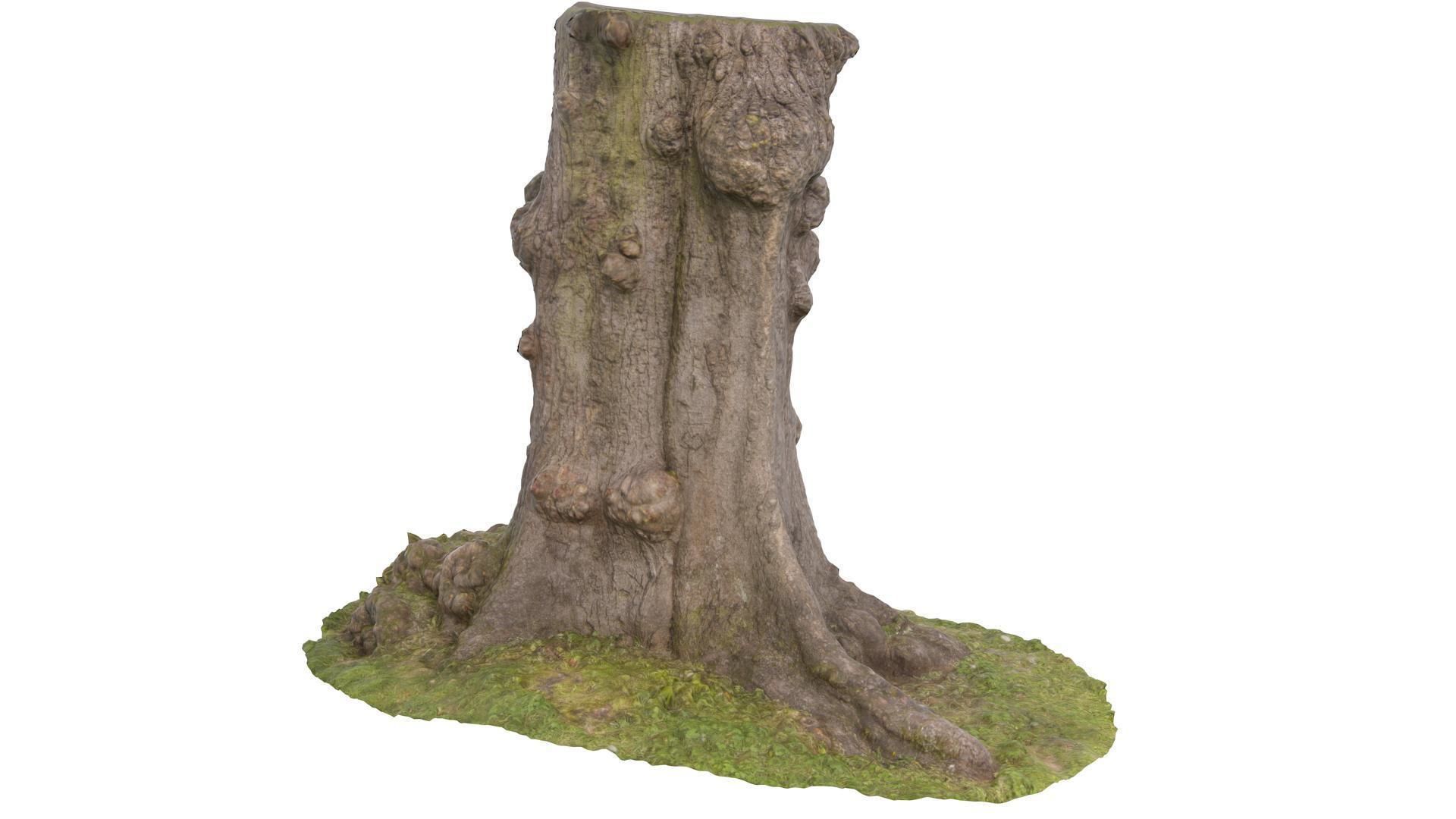 Tree 03 - High and Low Poly versions Low-poly 3D model_2