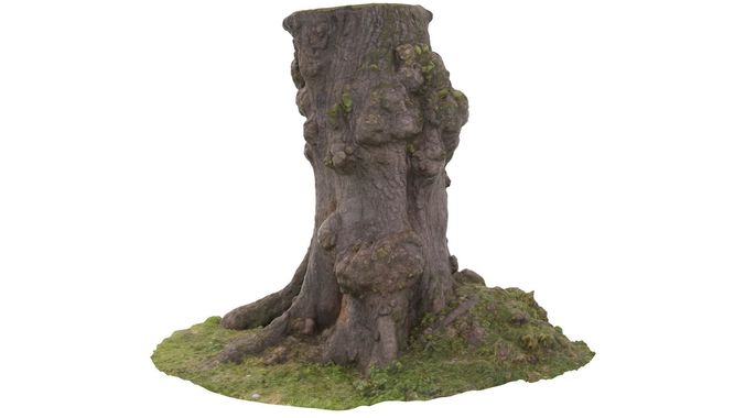 Tree 03 - High and Low Poly versions Low-poly 3D model