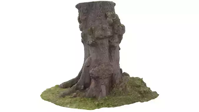 Tree 03 - High and Low Poly versions Low-poly 3D model