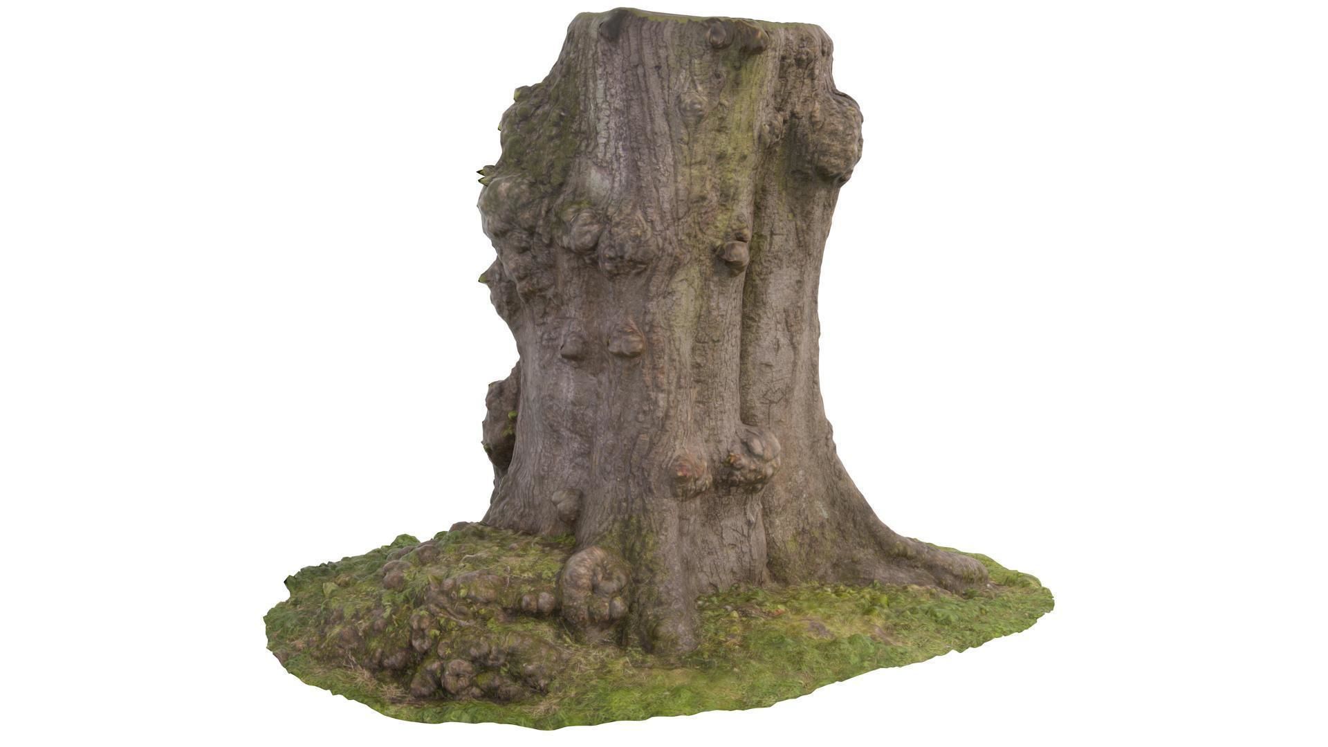 Tree 03 - High and Low Poly versions Low-poly 3D model_3