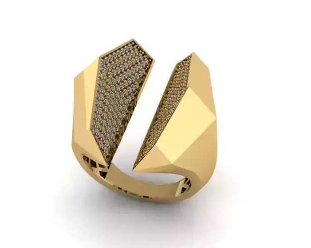 Woman Rings special Collection code0502