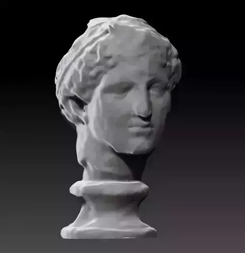 Statue bust of aphrodite