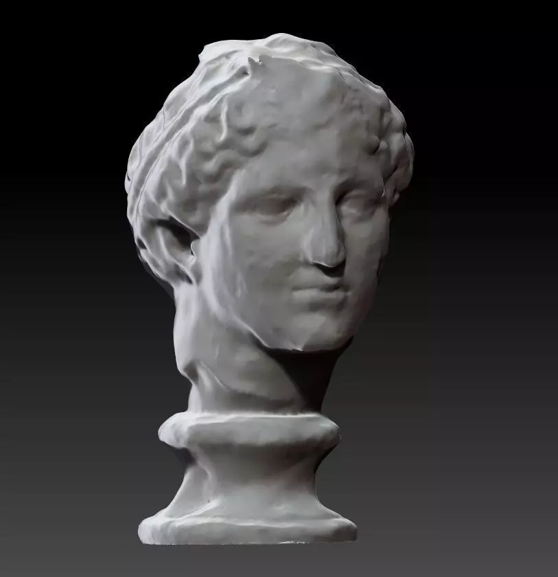 Statue bust of aphrodite 3D print model