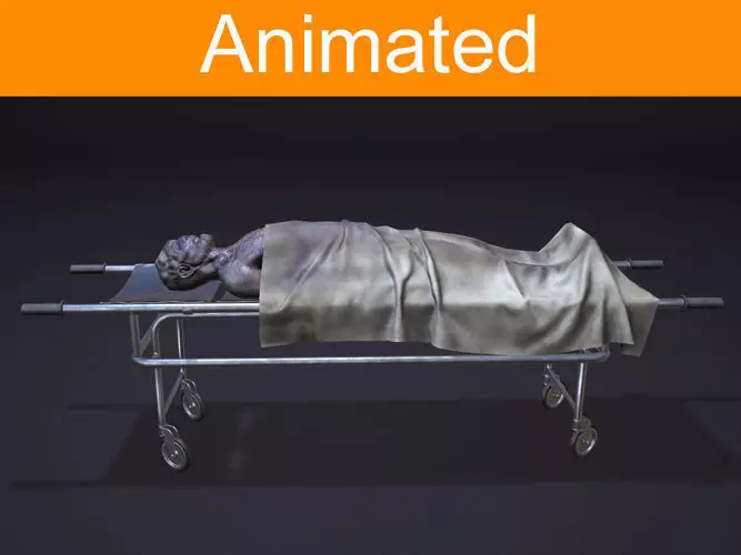 Corpse patient lying Low-poly 3D model_0
