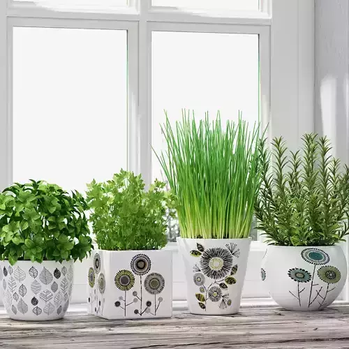 Herbs in pots 3D model