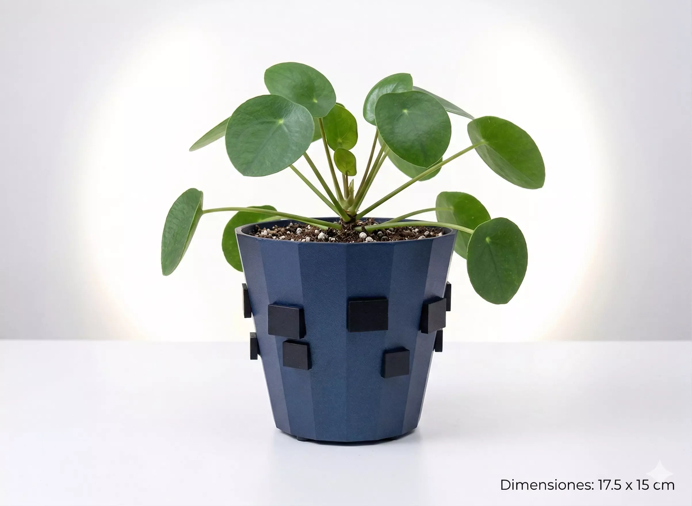 Canopy Vase 3D print model