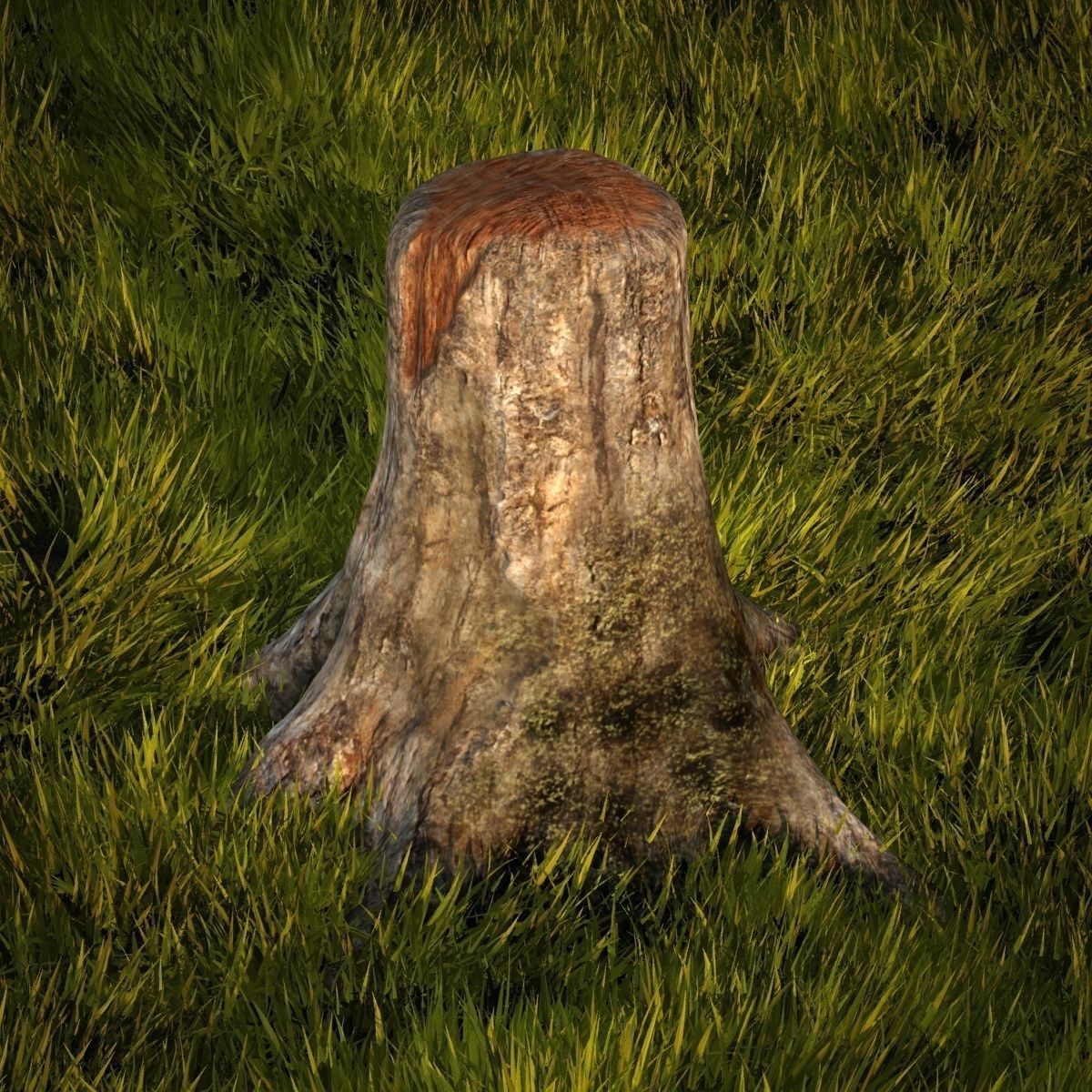Old tree stump 3D model_1