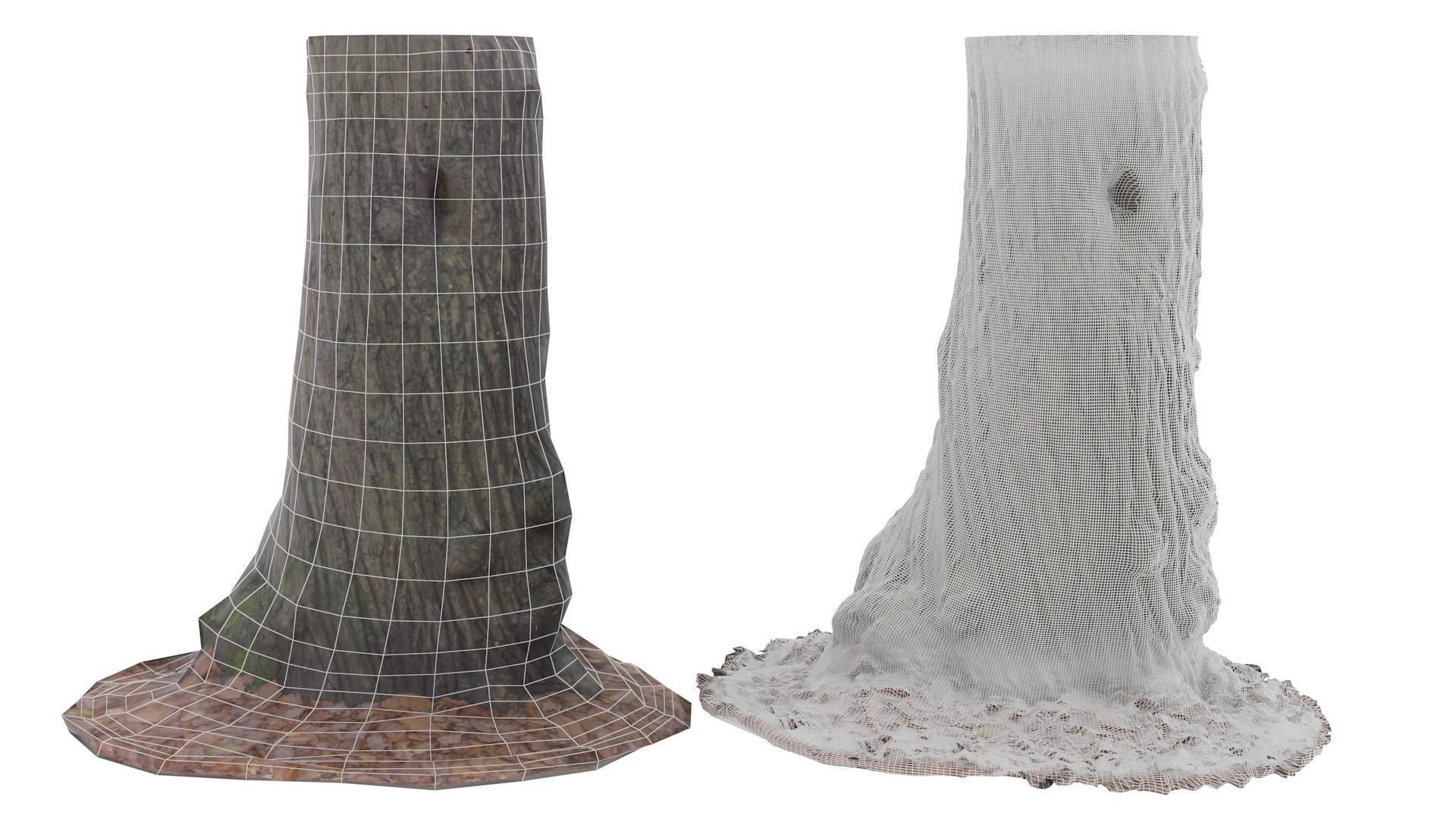 Tree 02 - High and Low Poly versions Low-poly 3D model_1