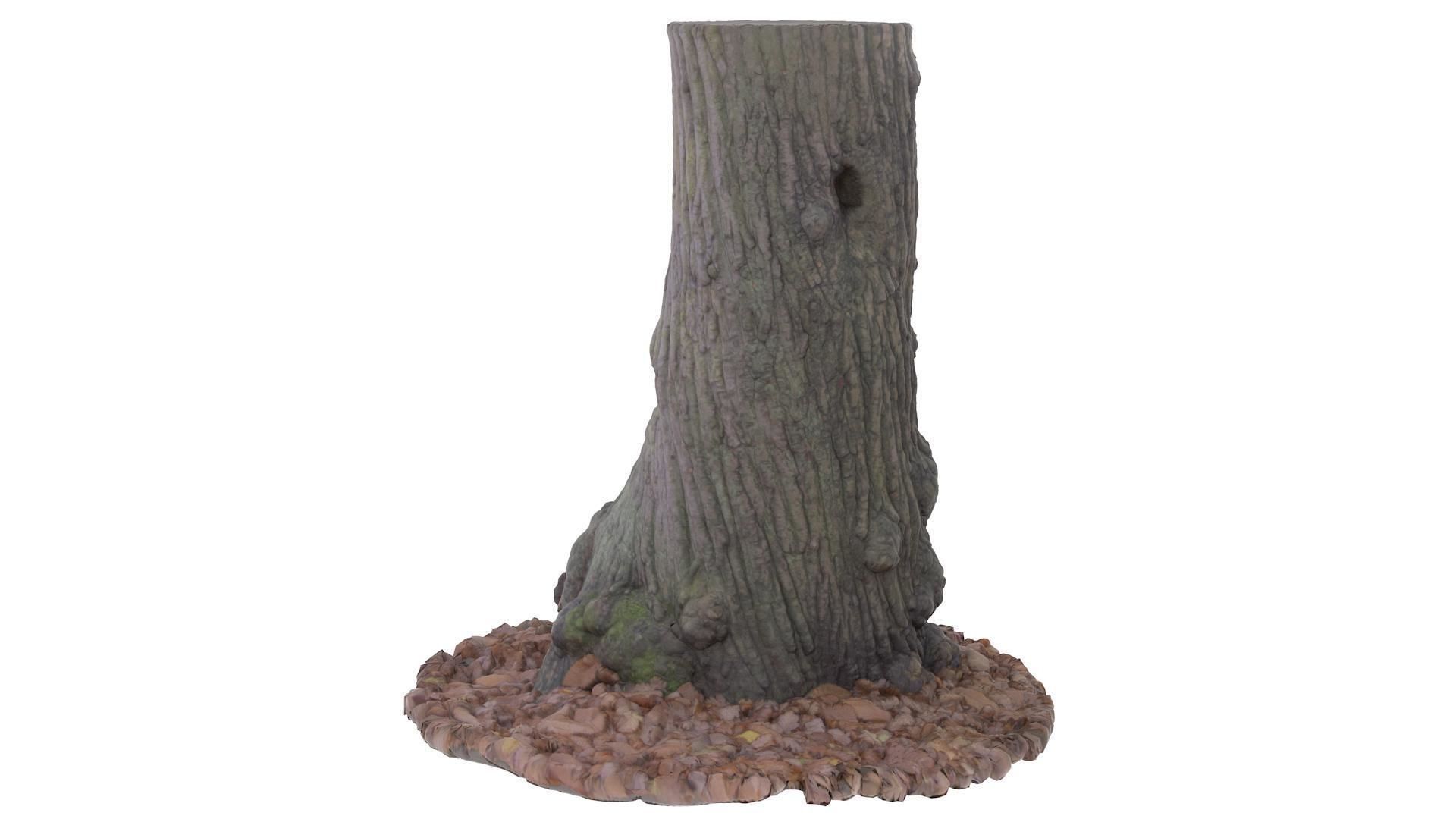 Tree 02 - High and Low Poly versions Low-poly 3D model_4