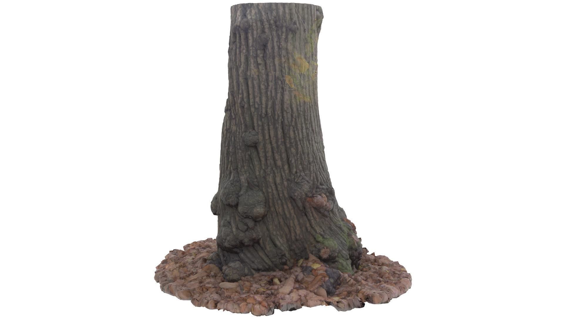 Tree 02 - High and Low Poly versions Low-poly 3D model_2