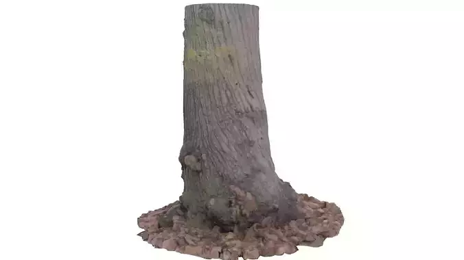 Tree 02 - High and Low Poly versions Low-poly 3D model