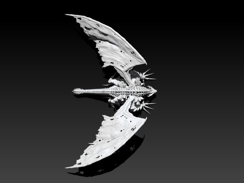 Salamander The Great 3D model_7