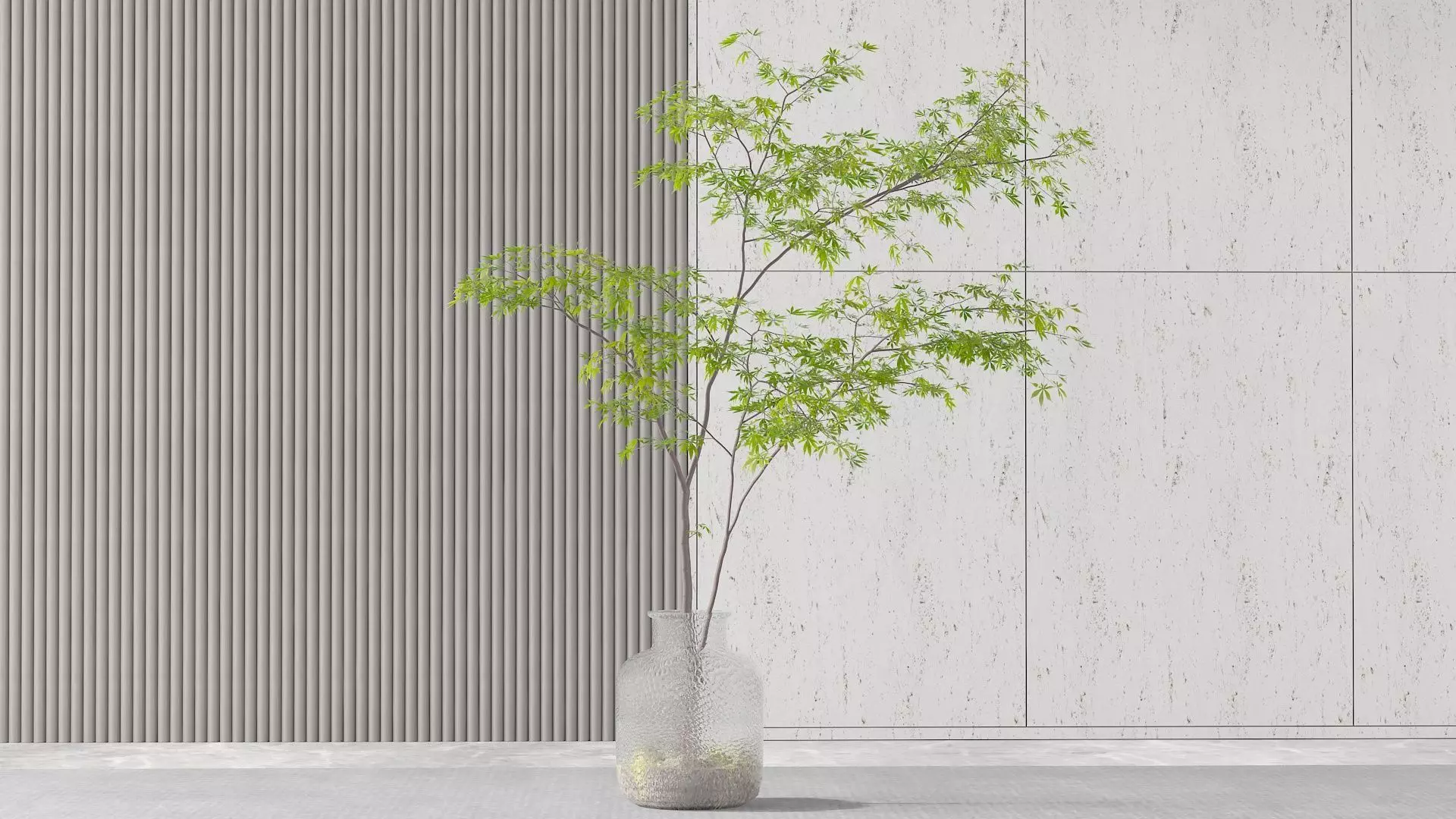 Potted Tree 3D model