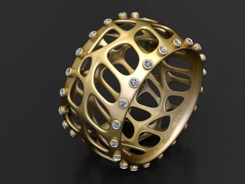 Organic Cellular Web Diamond Band 3D print model