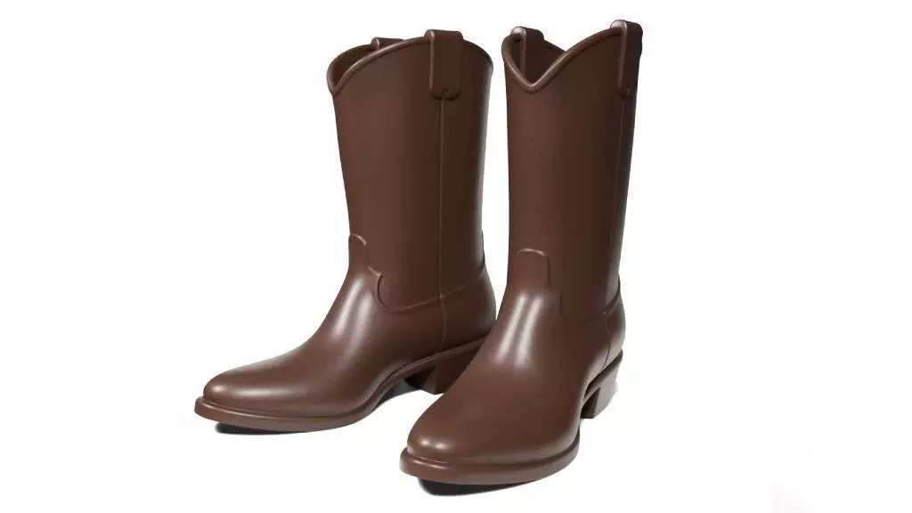Cowboy boots 3D print model