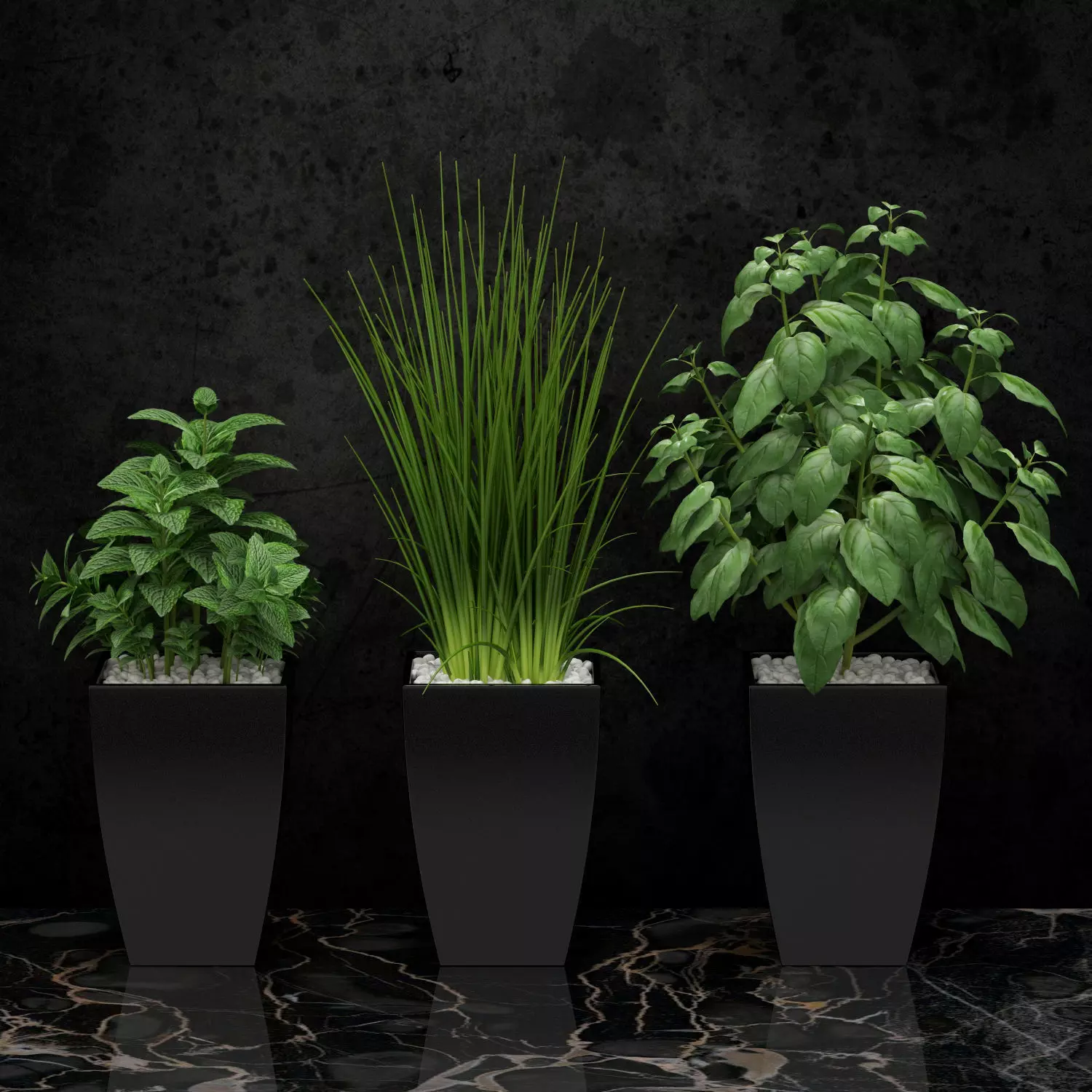 Kitchen plants 3D model