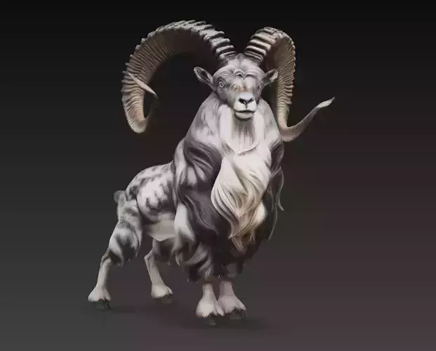 Realistic Mountain Goat Ram Animal 3D Model High Detail