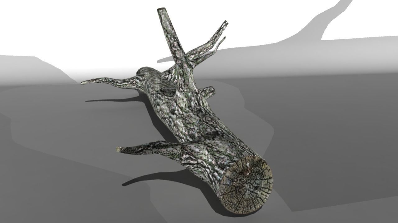 Broken Trunk Low-poly 3D model_0