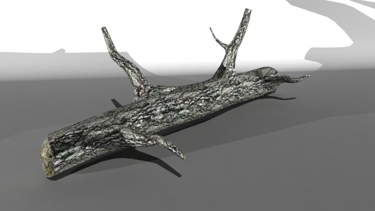 Broken Trunk Low-poly 3D model_1