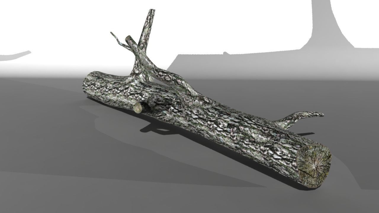 Broken Trunk Low-poly 3D model_3