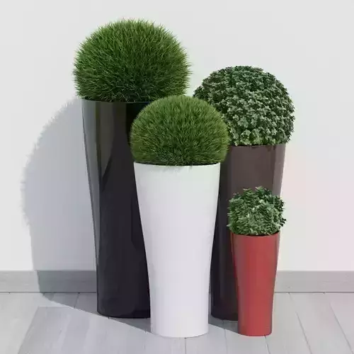 Plants collection 11