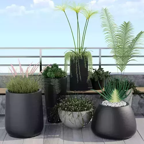 Plants outdoor planter pots bedroom furniture sets home