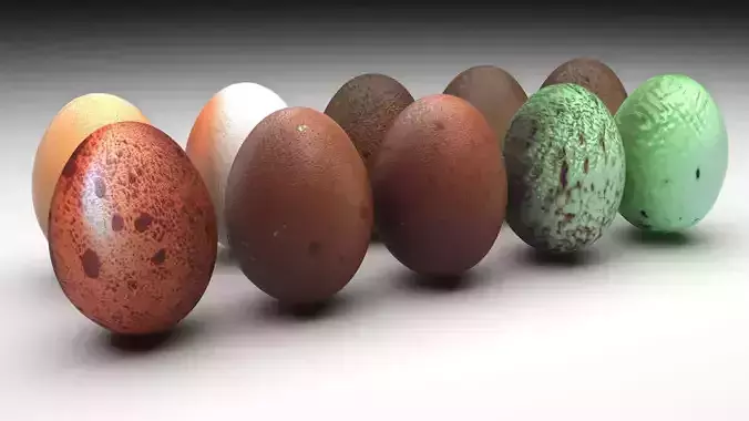 Eggs Set 3D model