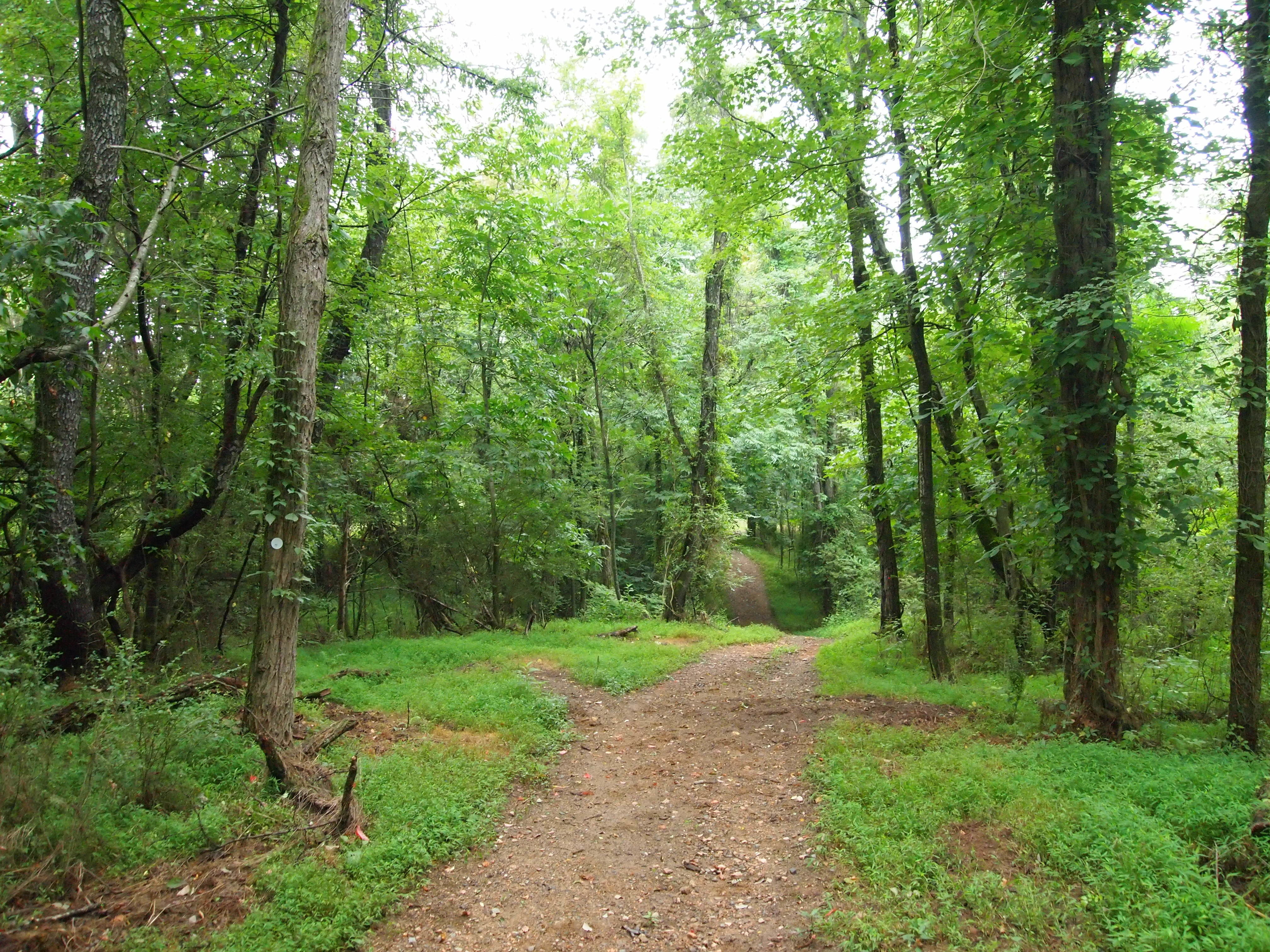 Mount Airy Nature Reference Pack