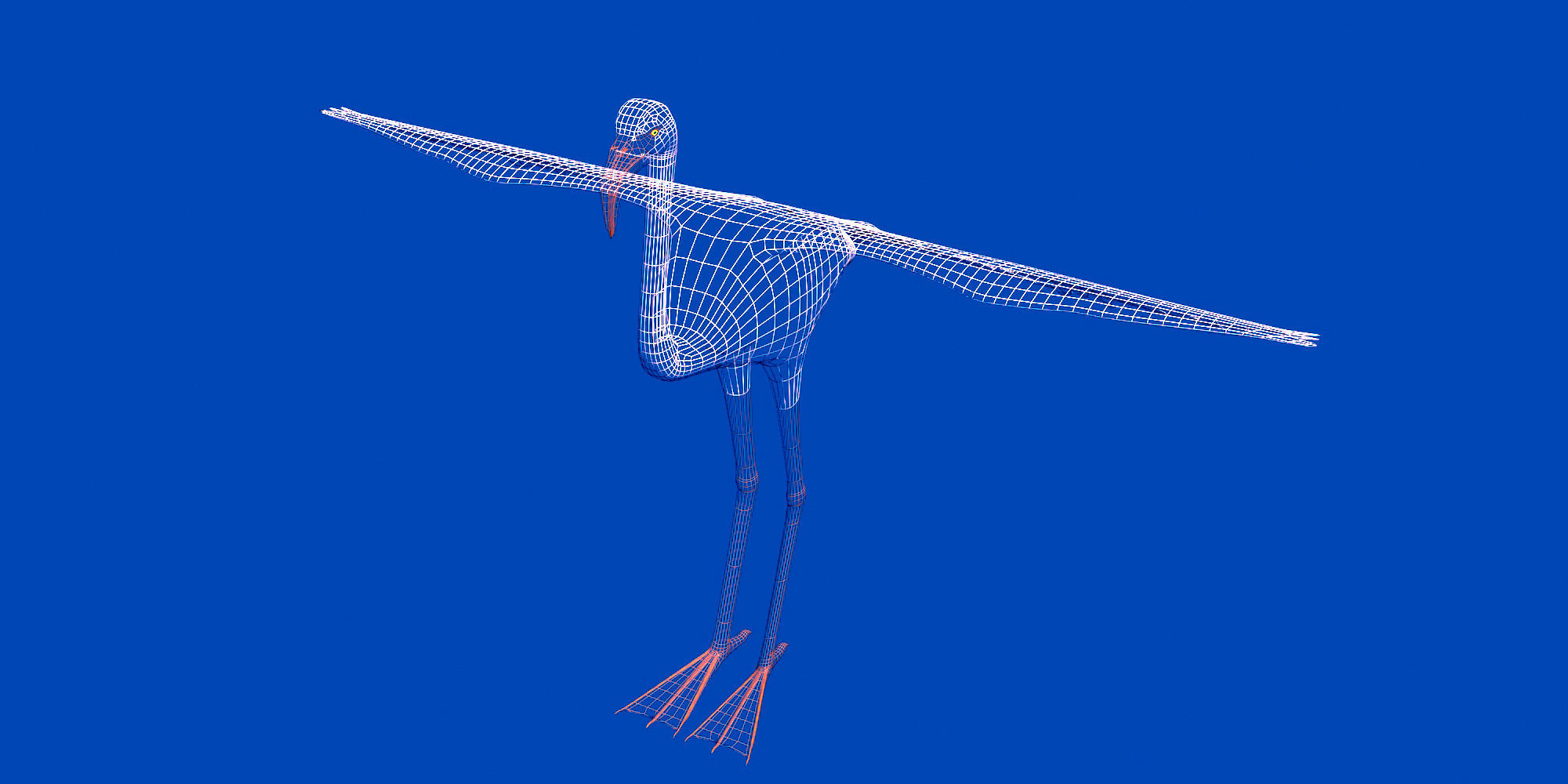 Pink Flamingo model Low-poly 3D model_1