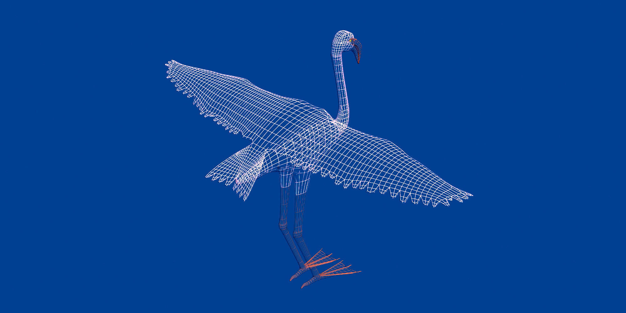 Pink Flamingo model Low-poly 3D model_4