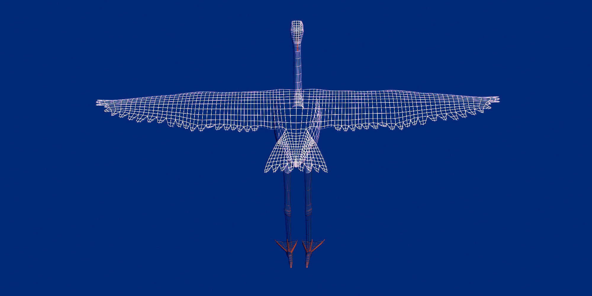 Pink Flamingo model Low-poly 3D model_6