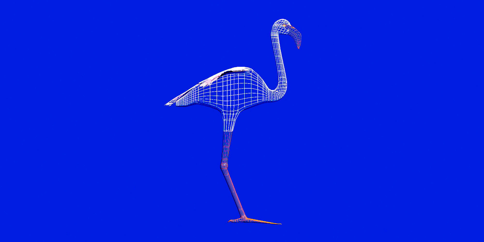 Pink Flamingo model Low-poly 3D model_2