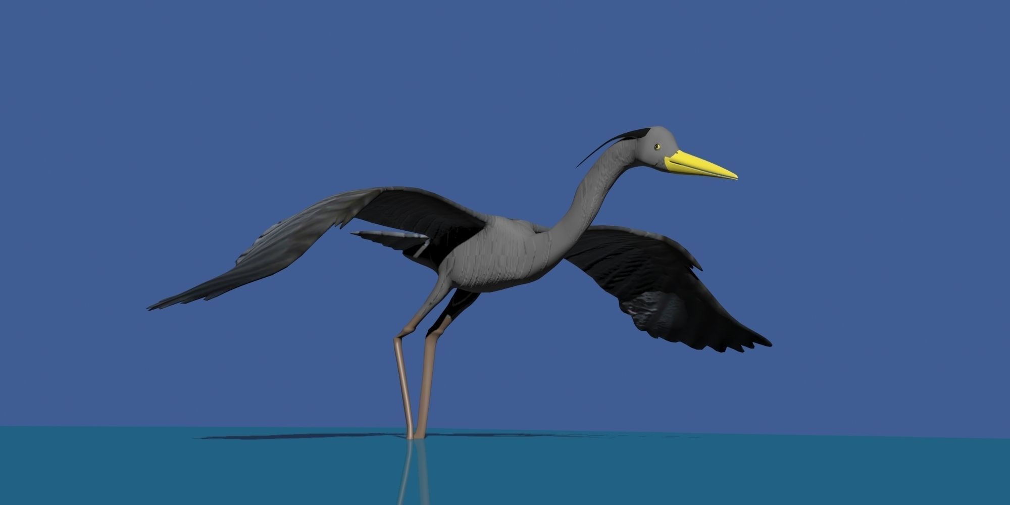 Heron model flying in sky Low-poly 3D model_1