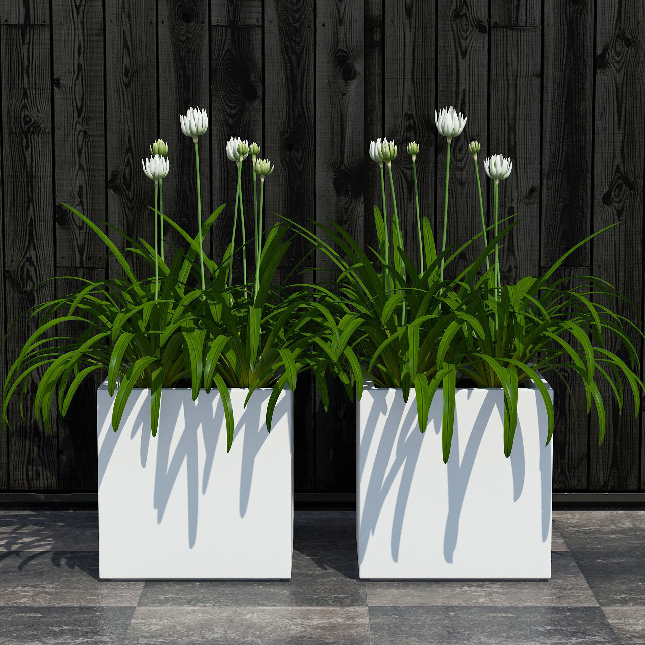 Plants collection 15 3D model_8