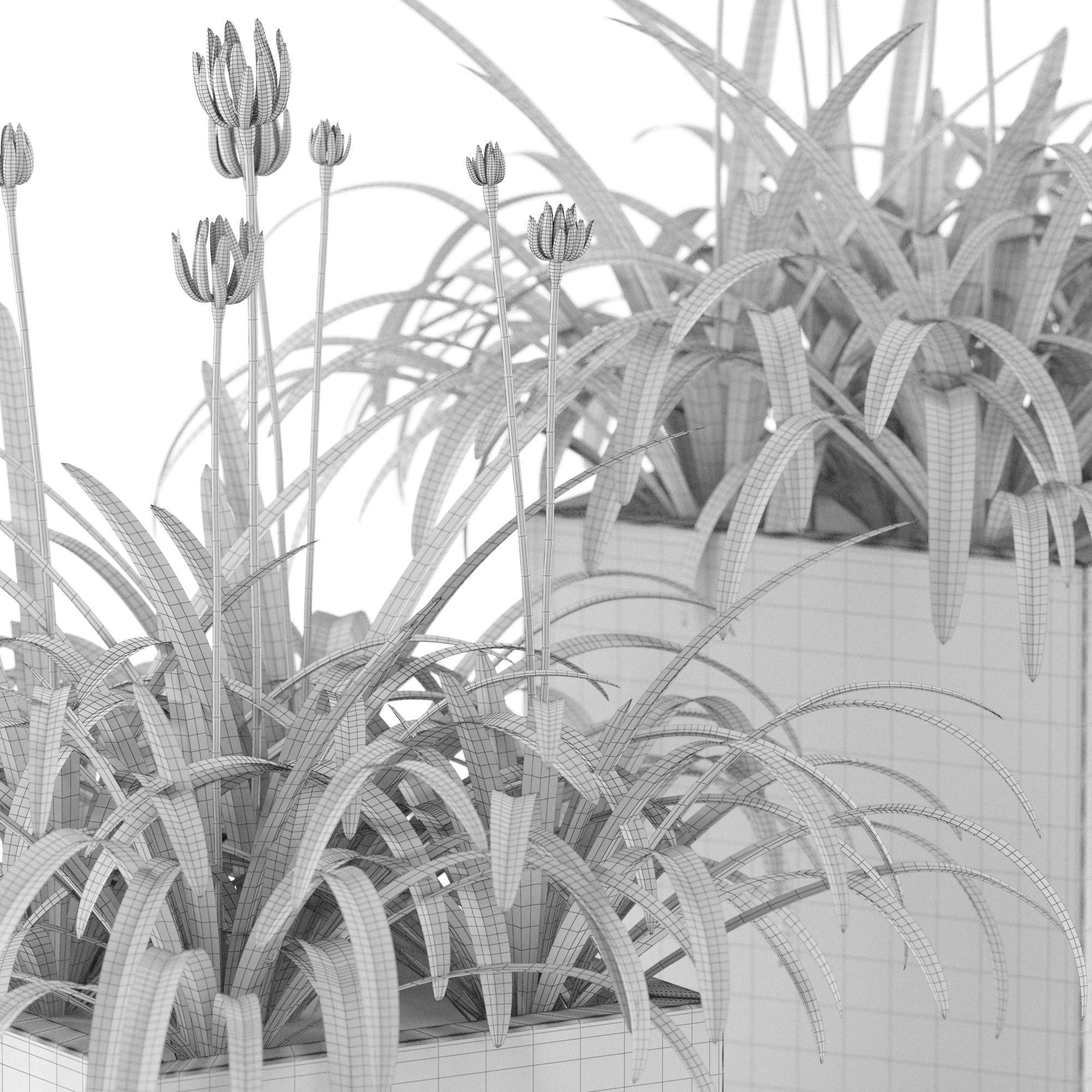 Plants collection 15 3D model_5