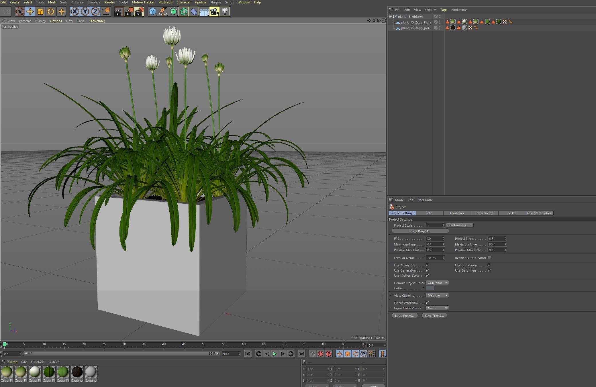 Plants collection 15 3D model_7