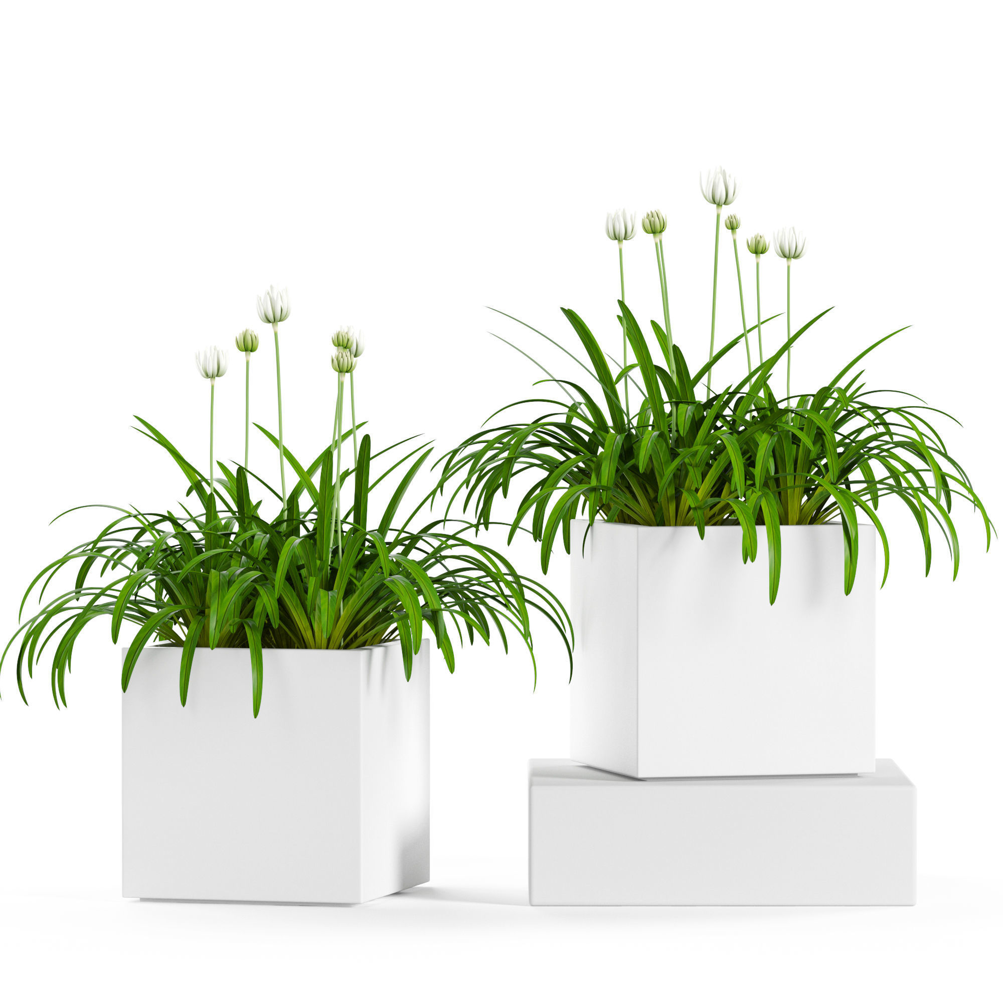 Plants collection 15 3D model_1