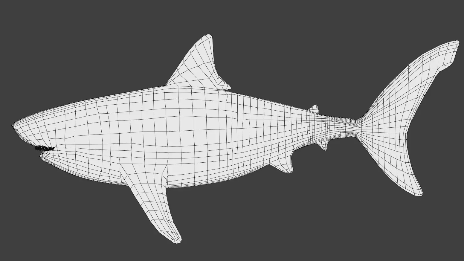 Realistic Shark 3D Model with PBR Textures Blender 3D model