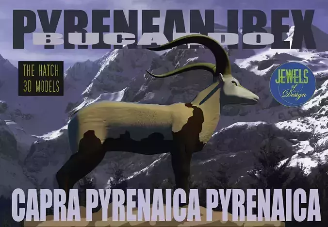 Pyrenean Ibex Low-poly 3D model