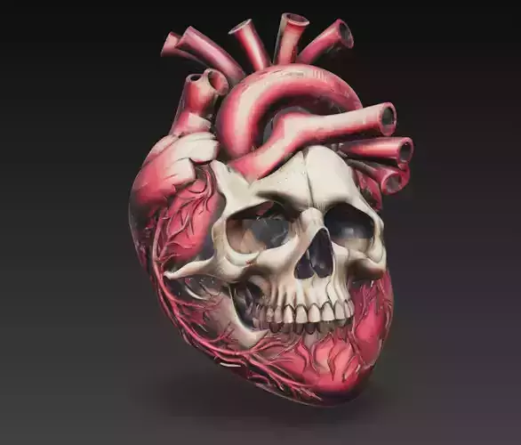 Skull Anatomical Heart Dark Fantasy Sculpture 3D Model