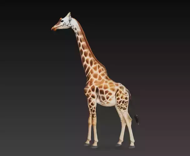 Realistic Giraffe Wildlife Animal 3D Model