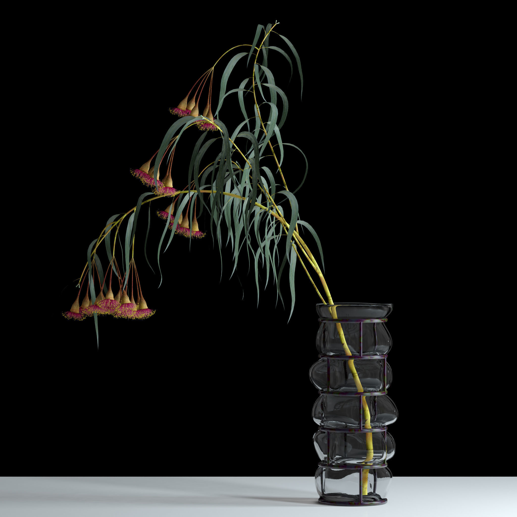 Eucalyptus Bloom 3D model_5