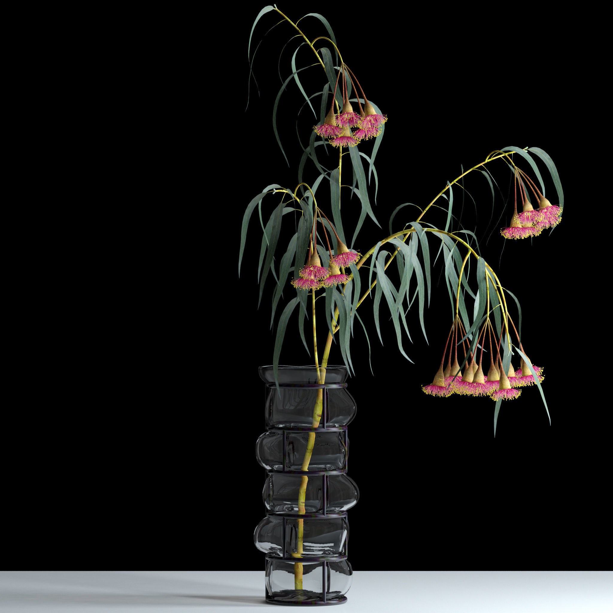 Eucalyptus Bloom 3D model_3