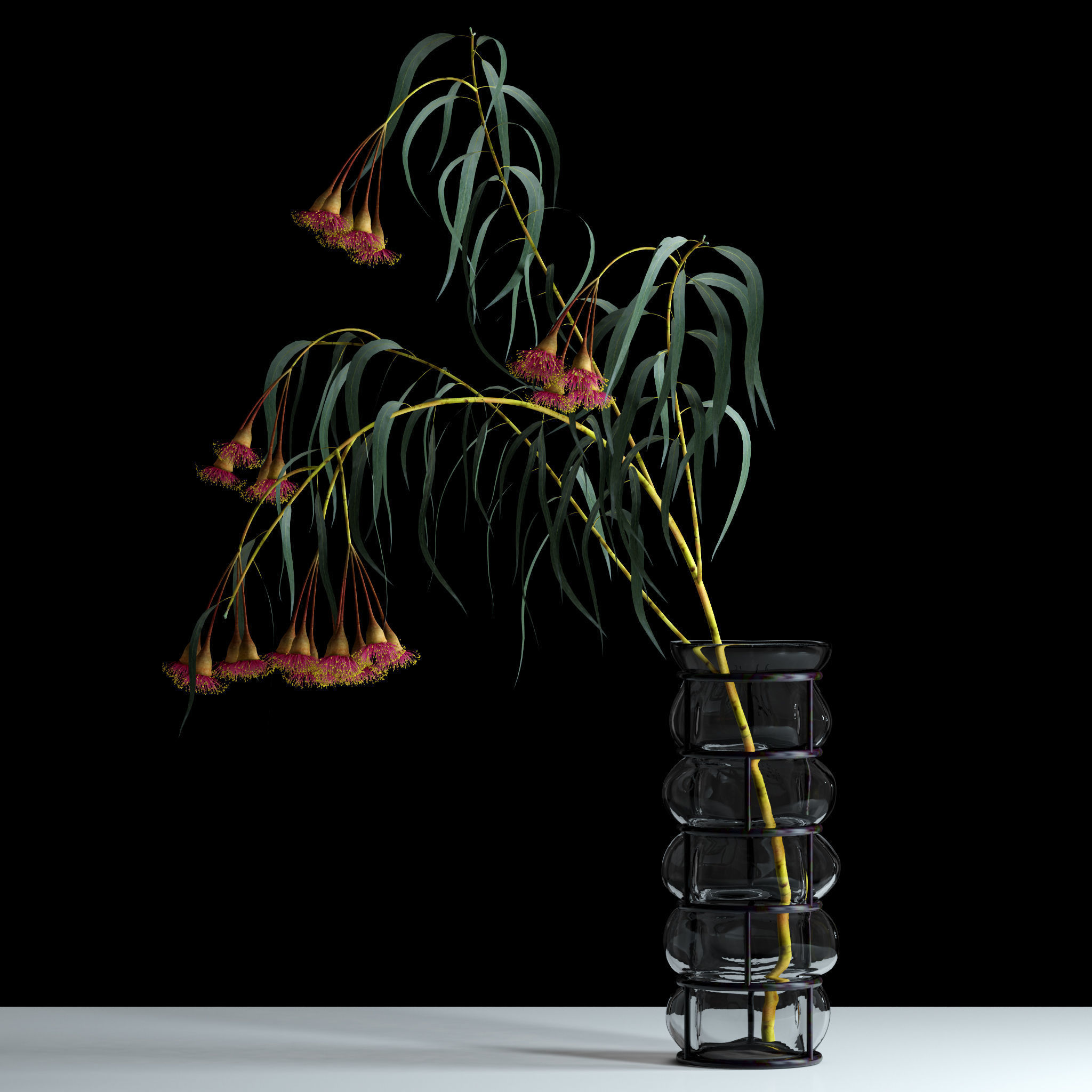 Eucalyptus Bloom 3D model_1
