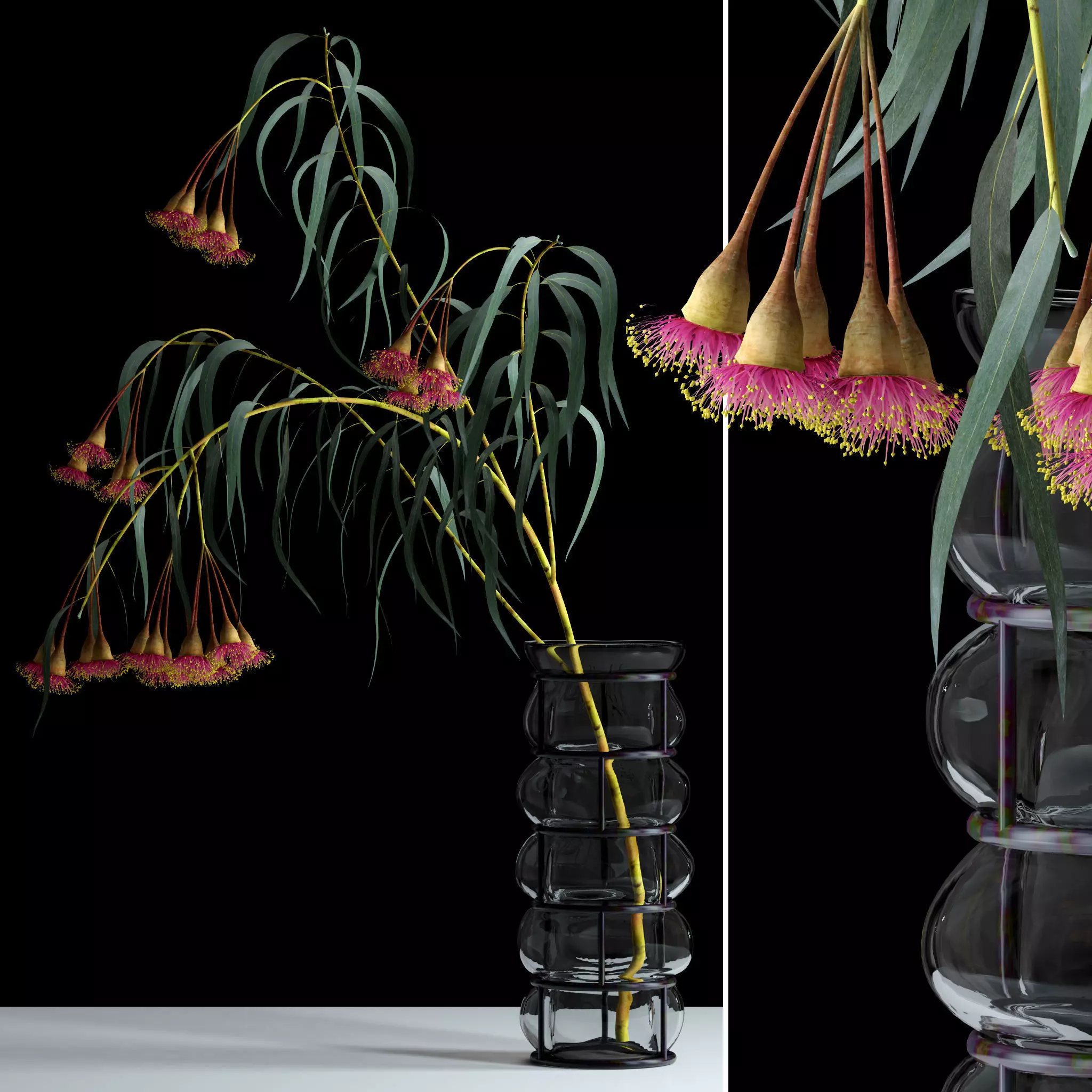 Eucalyptus Bloom 3D model_0