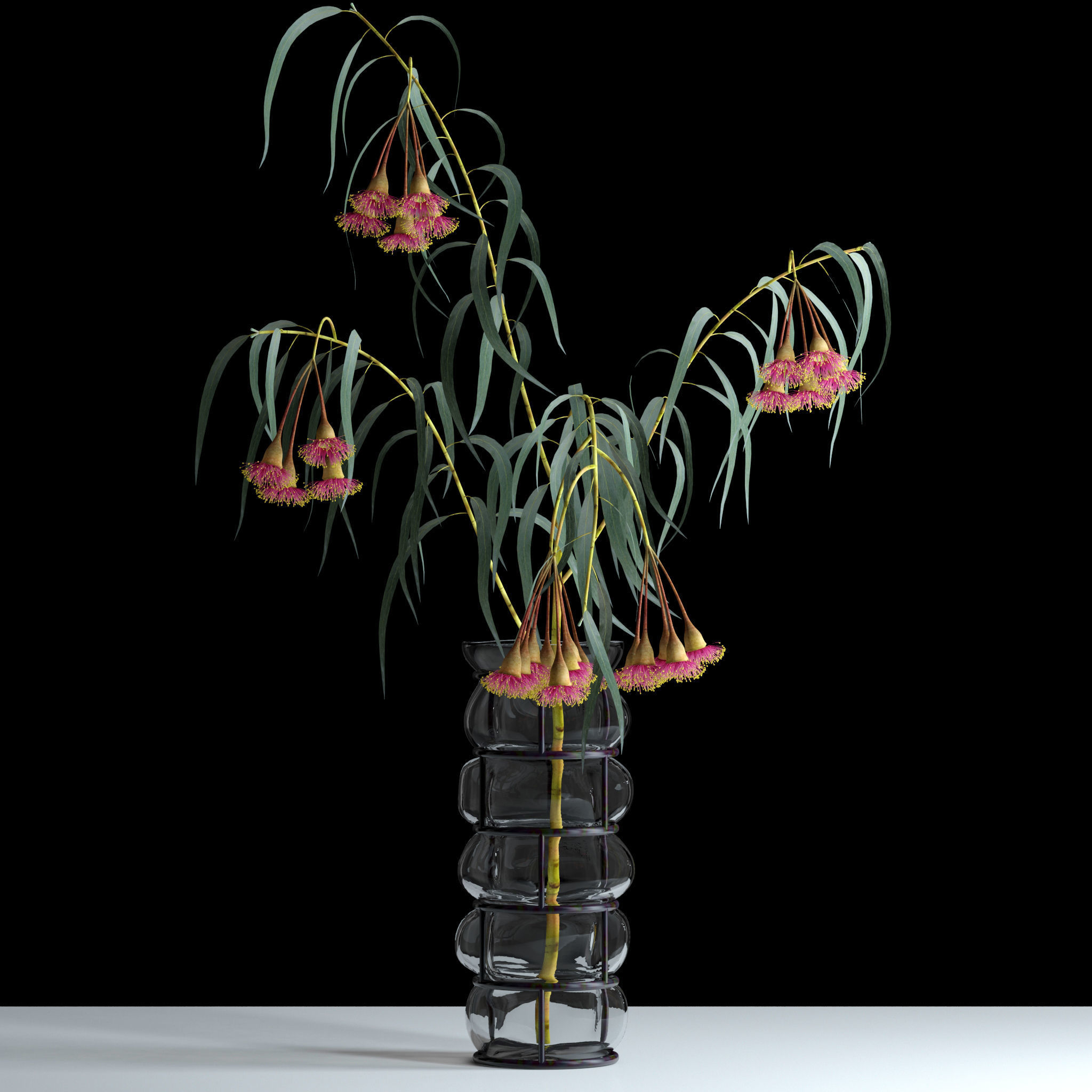 Eucalyptus Bloom 3D model_2