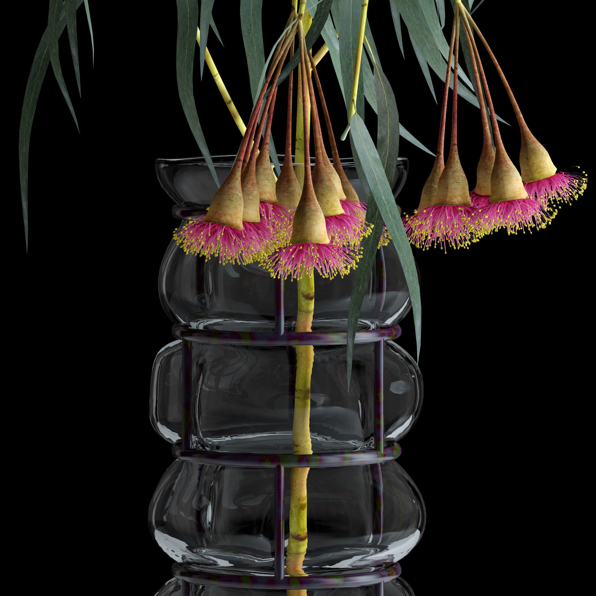Eucalyptus Bloom 3D model_11