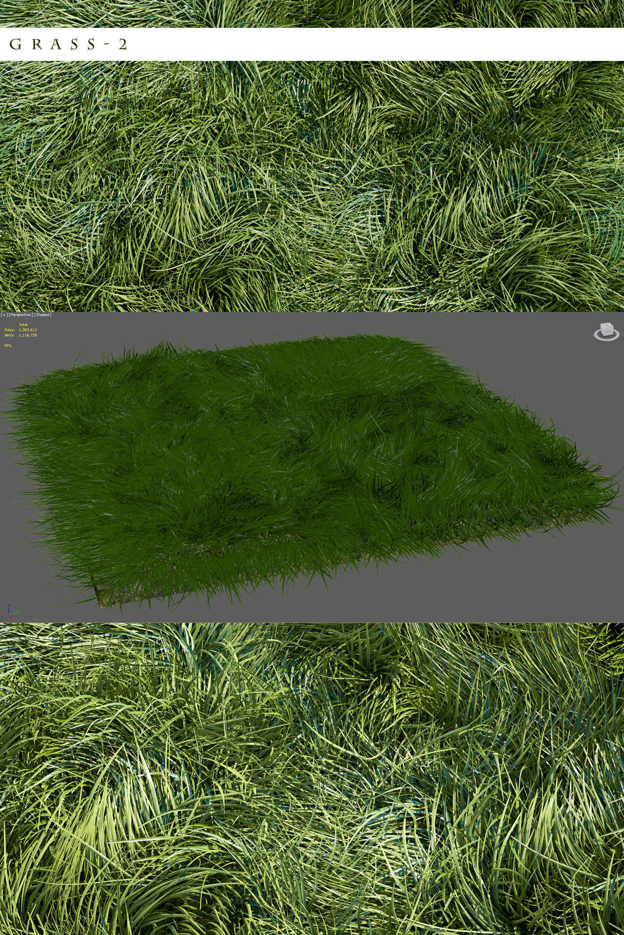Grass 3D model_1